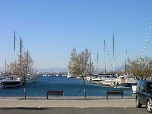 1075 Roc Mar Roses