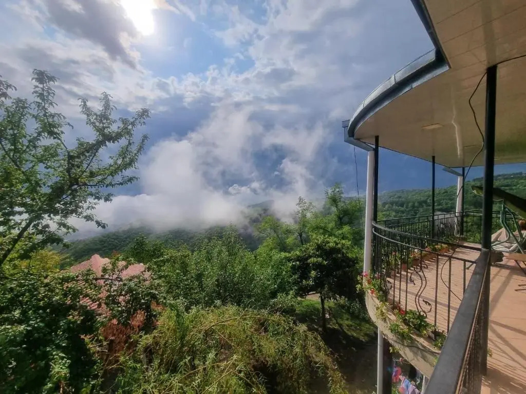 Zurabashvili Guest House