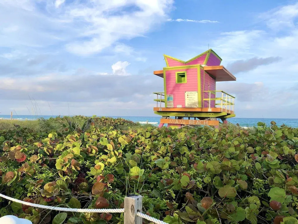 Seacoast by Miami Ambassadors