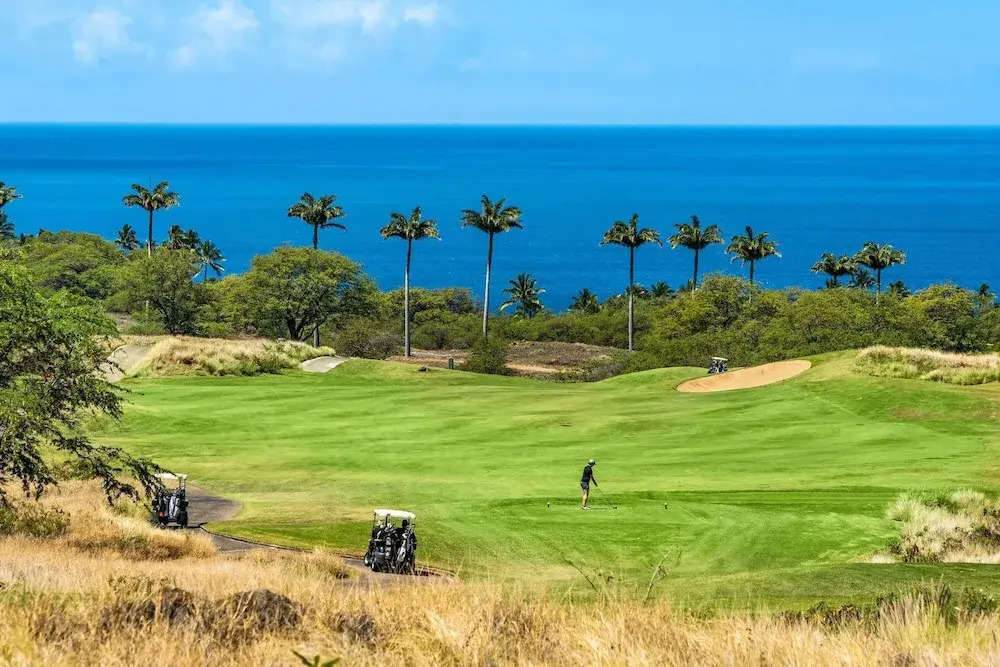 Wai'ula'ula A102