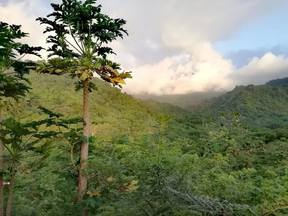 El Eden Minca