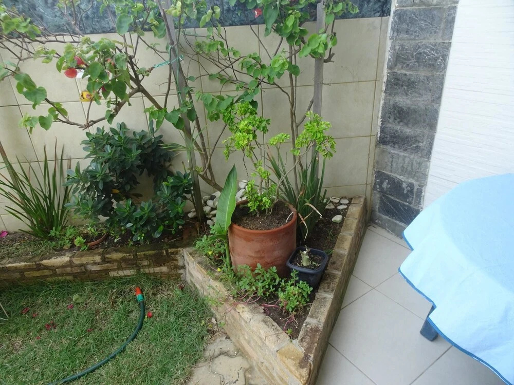 House With 2 Bedrooms in Salvador, With Wonderful sea View, Pool Acces
