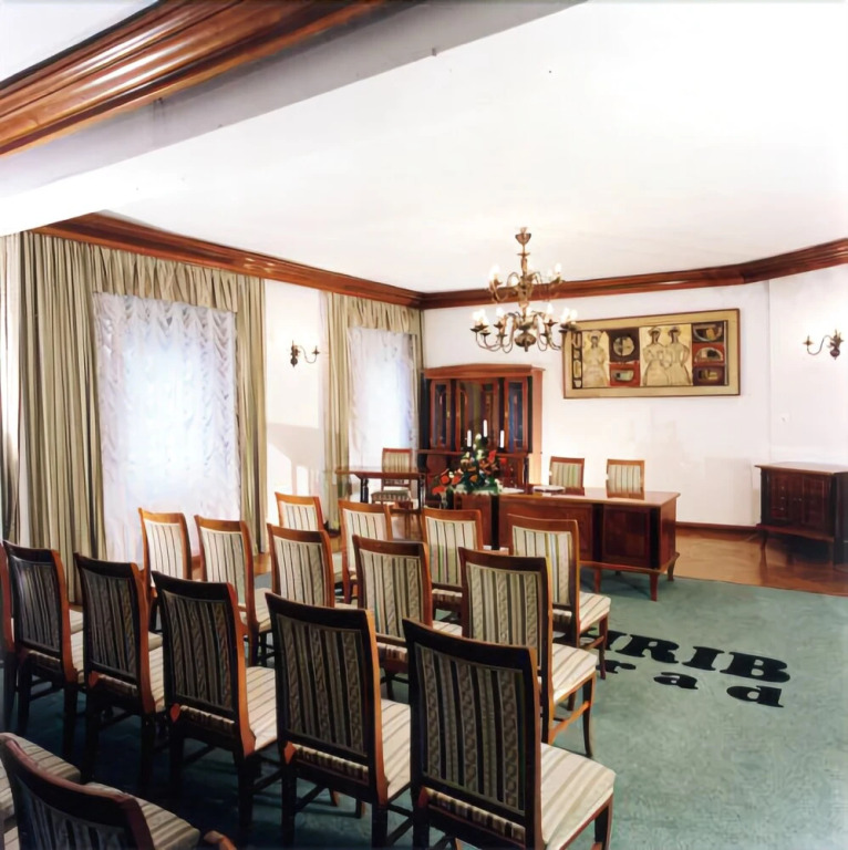 Hotel Bor & Grad Hrib