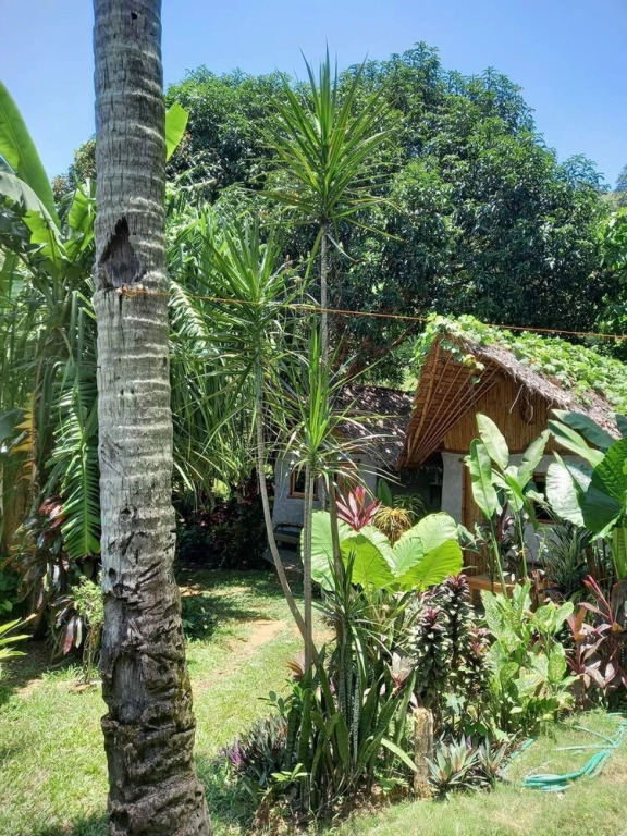Yucca Bungalow