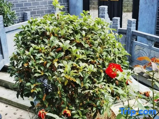 No. 9 Courtyard Homestay (Qimen HSR South Station)