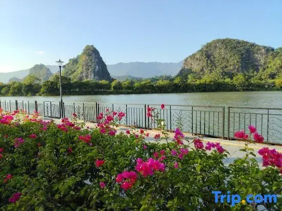 Zhaoqing Yueyou Homestay (Qixingyan Yanqian Village)