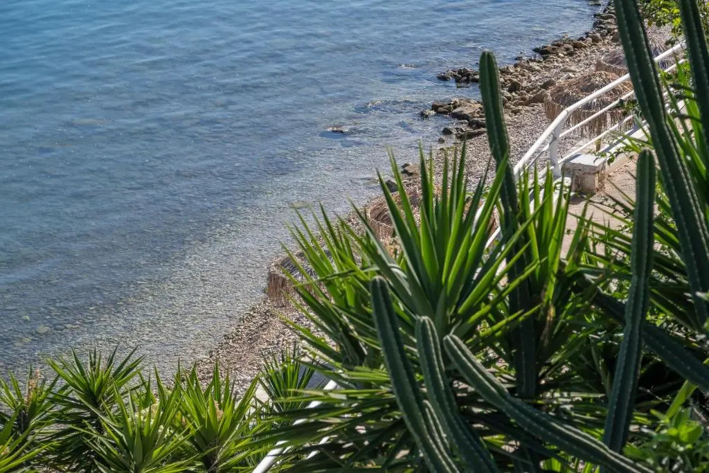 Meli Apartments & Villas