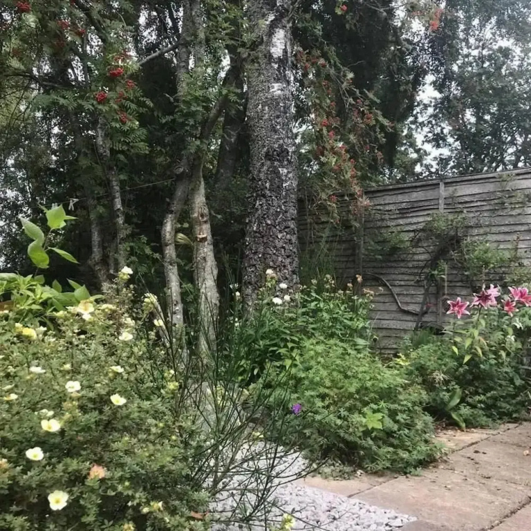 3-bed House in Boat of Garten Perfect for Family