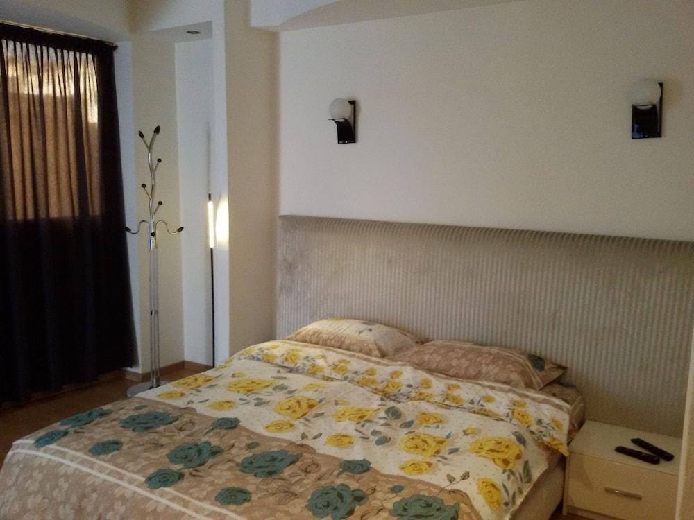 Spacious Apartment Downtown