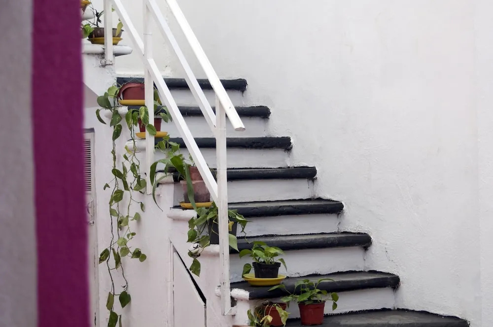 Taiyari Hostal