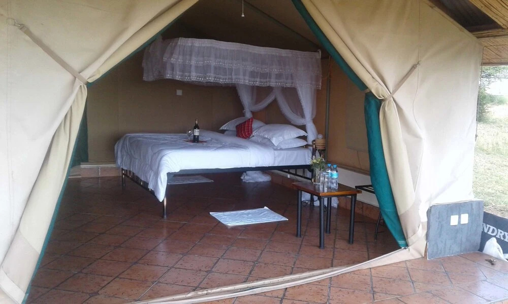 Zebra Kemang'ore Bush Tented Lodge