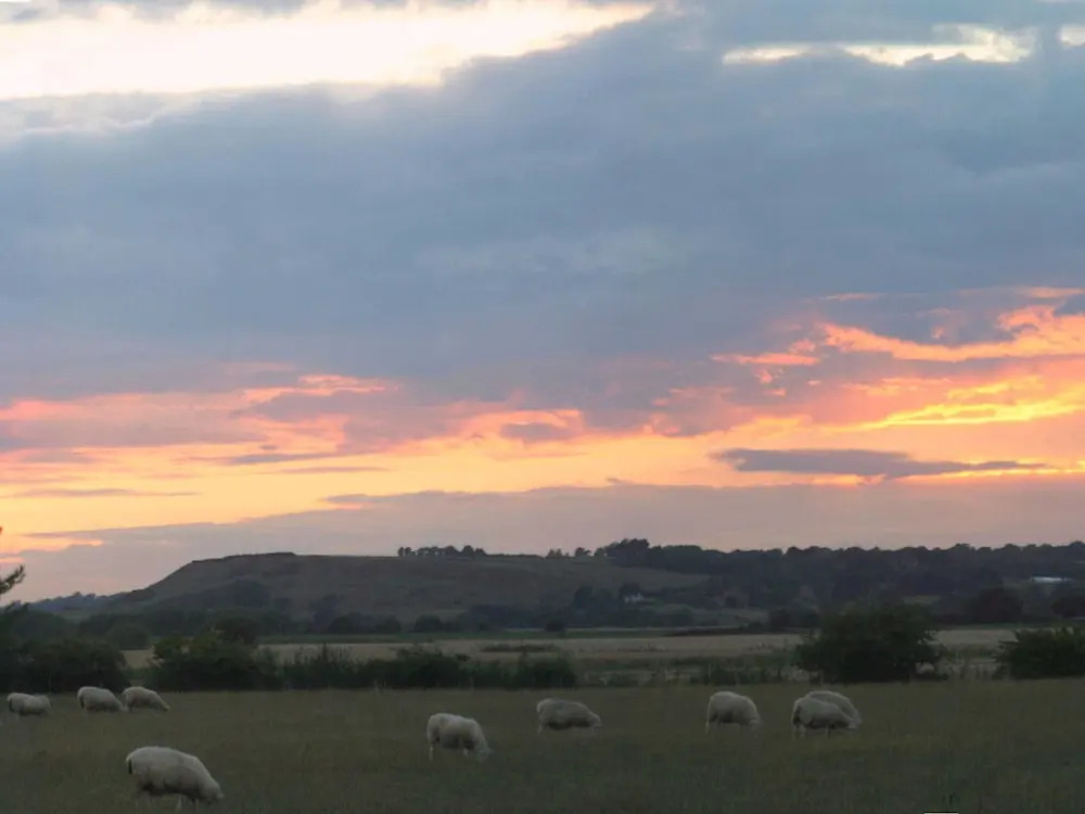 Cottage in Brookland Near Romney Marsh