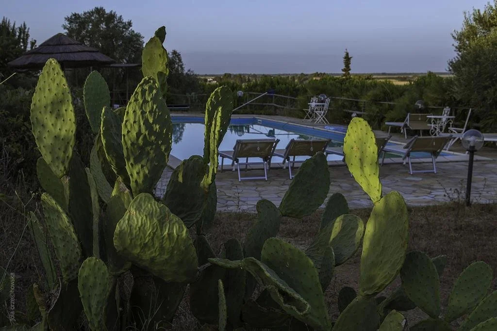 Agriturismo Porta al Colle