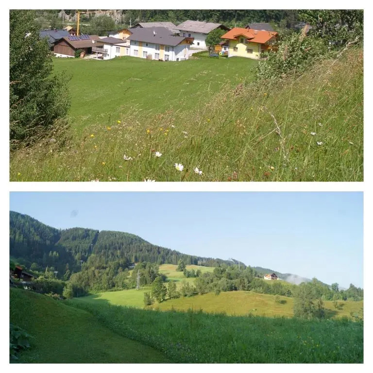 Zeffererhof