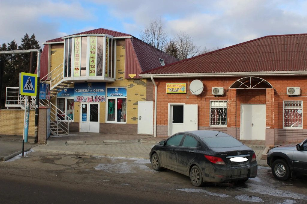 Кедр