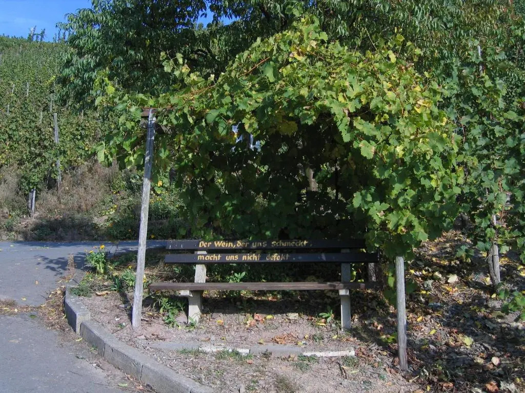 Weinfelderhof