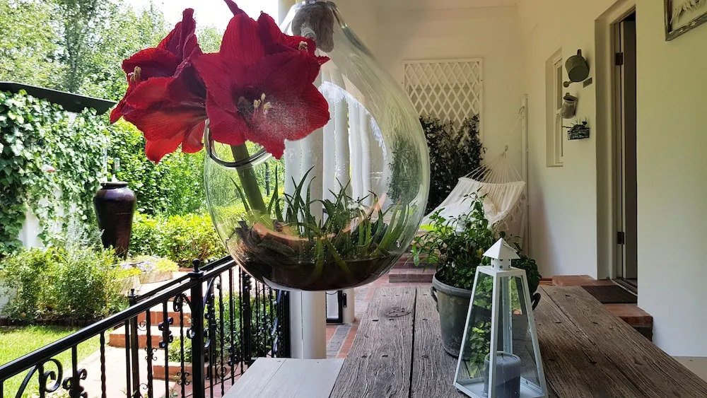 Villa Adalbert Guesthouse