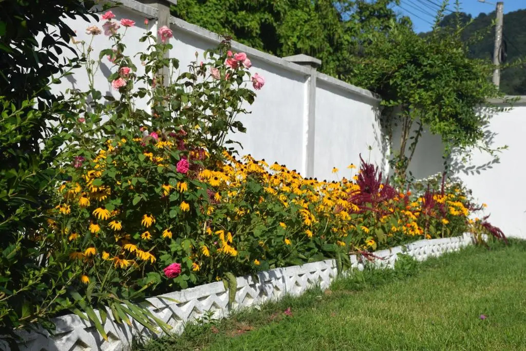 Casa Sonya