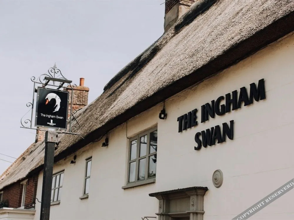 The Ingham Swan