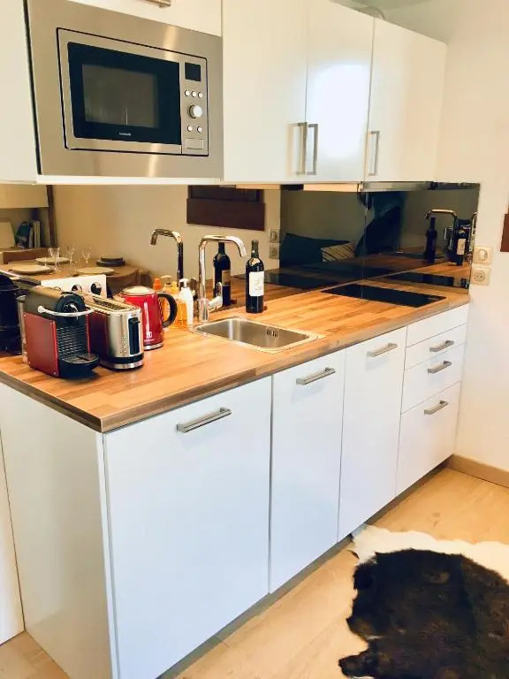 Appartement cosy et chaleureux à Megève avec vue sur le Mont Blanc