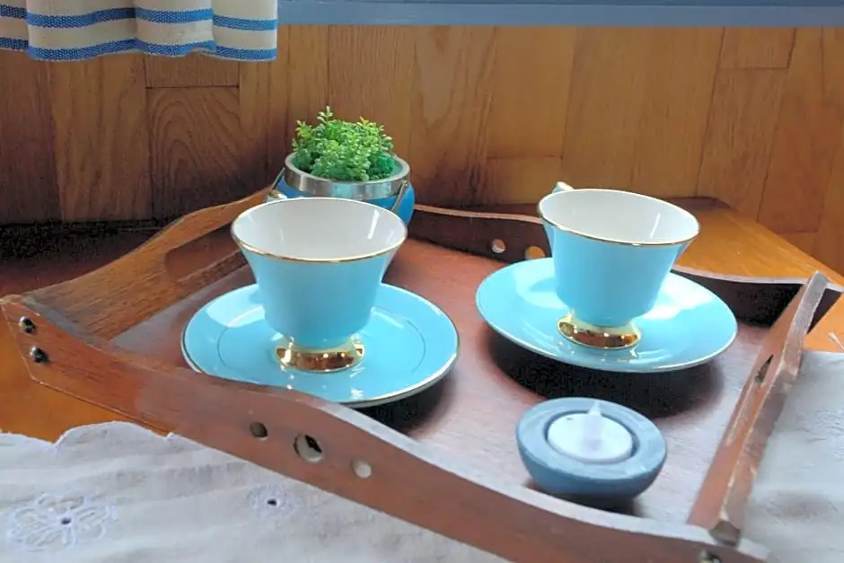 B&B Dream On Wheels