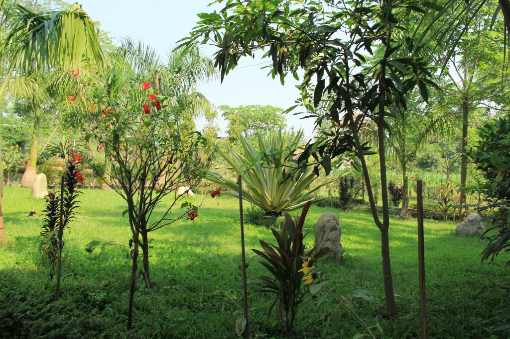Chitwan Safari Resort