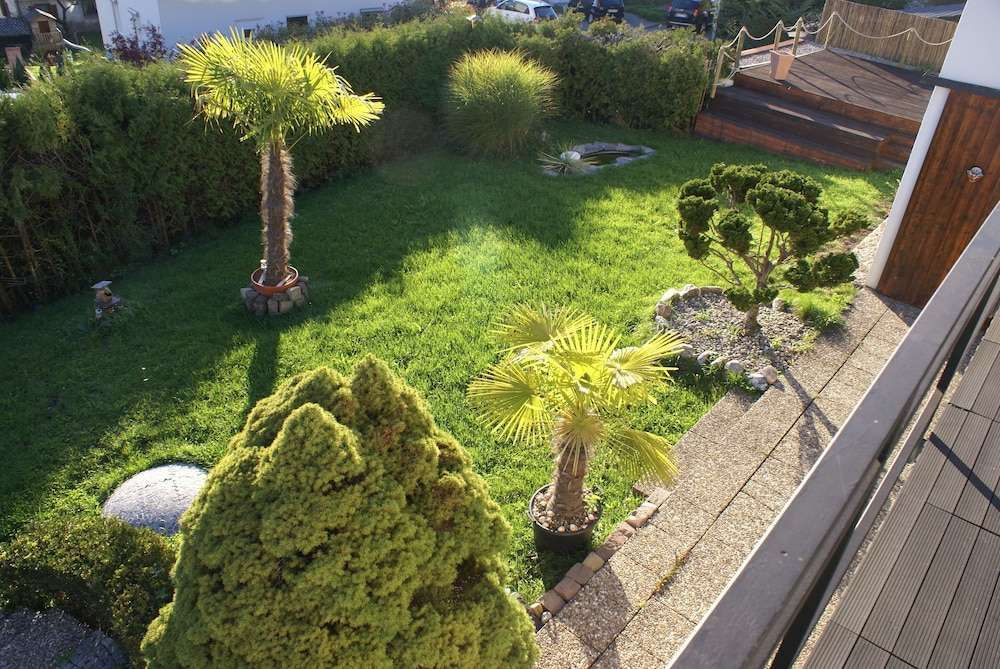 Oasis Apartment