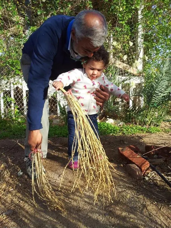 Habiba Organic Farm