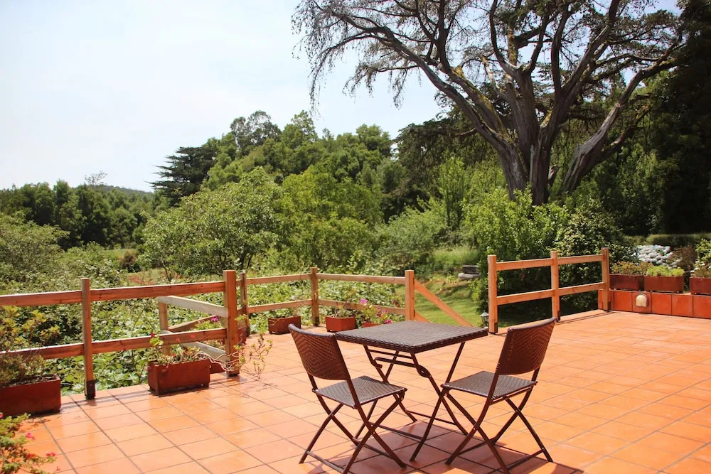 Bio Quinta do Pantano, Agro Turismo
