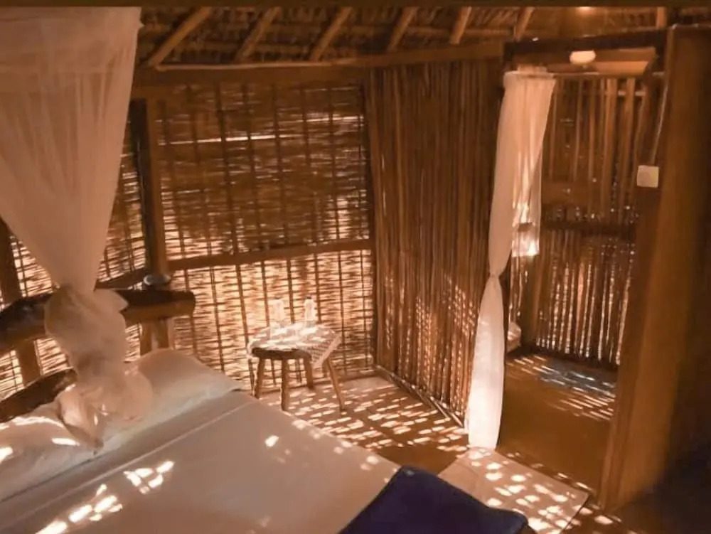 Art Jungle Eco Lodge