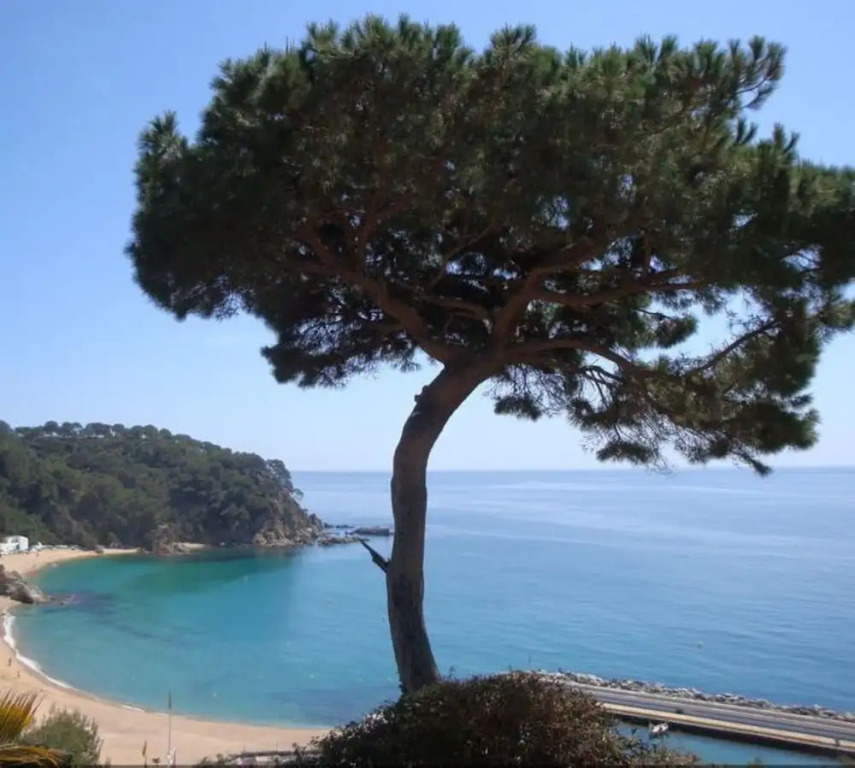 107070 House In Lloret De Mar