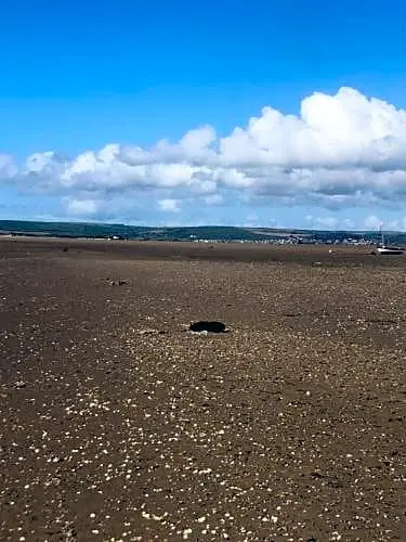 Field Hut