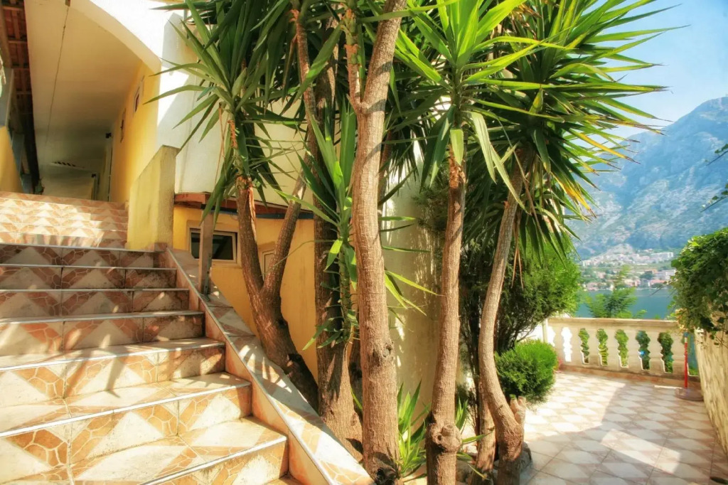 Apartments Bella Vista