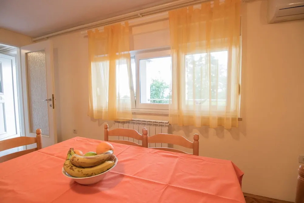 Apartment Visnja