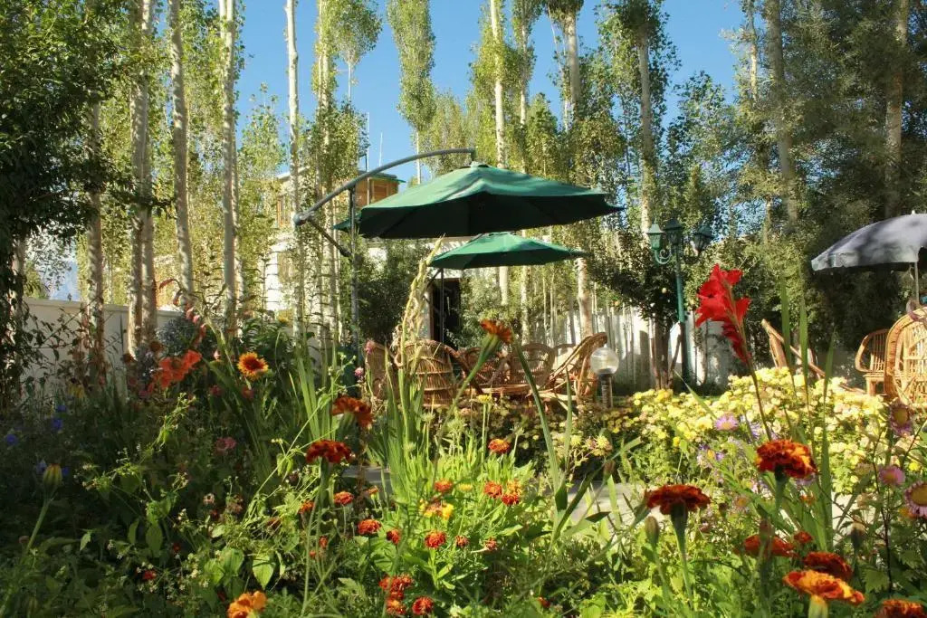 Hotel Ladakh Greens - an Organic Retreat