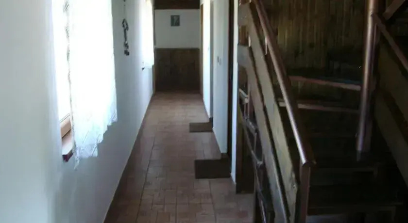 Moskito Guest House