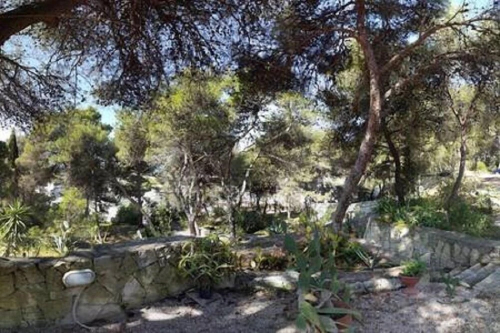 Trullo in the Wood