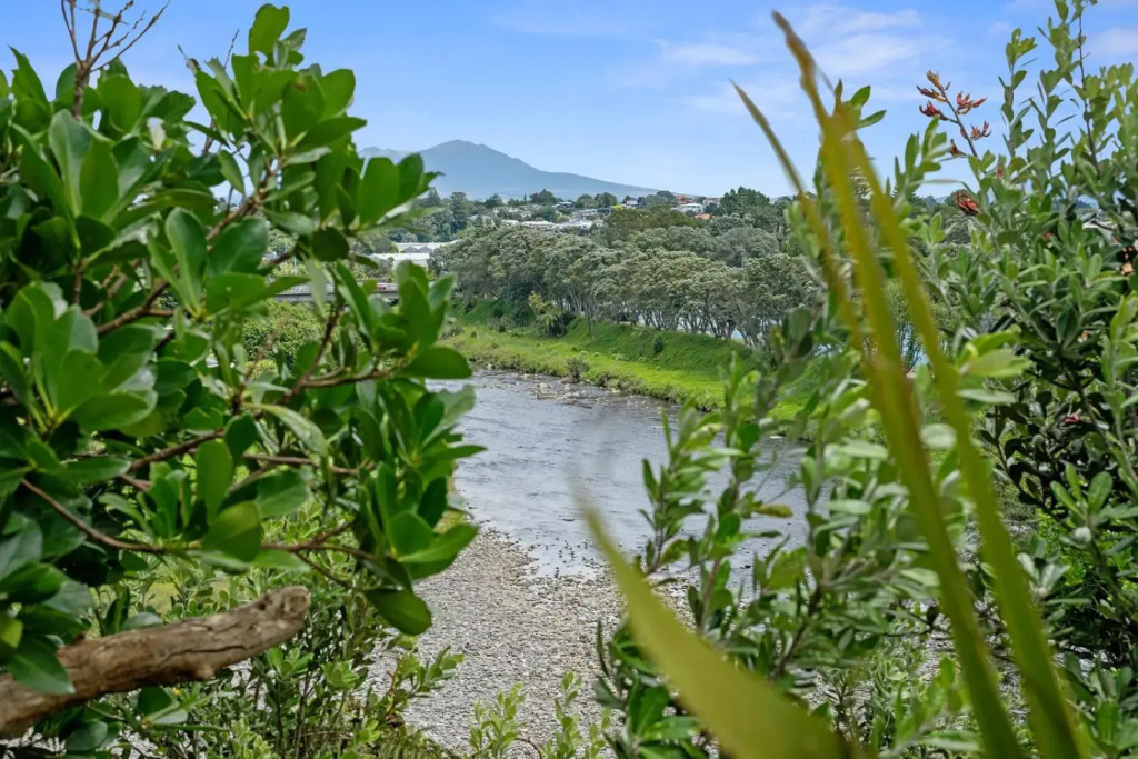 The Fritz - New Plymouth Holiday Home
