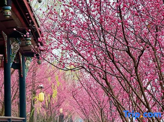 JI Hotel (Chengdu Sichuan University)