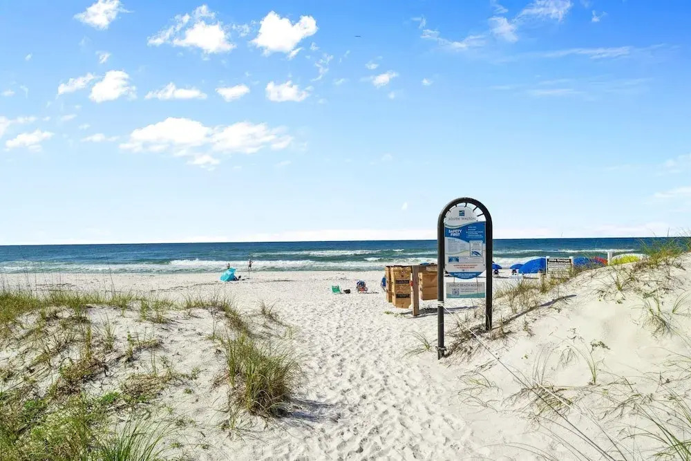 Back to the Beach