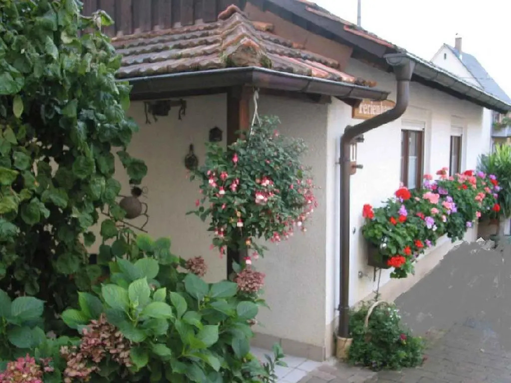 Ferienwohnung am Blumengässle