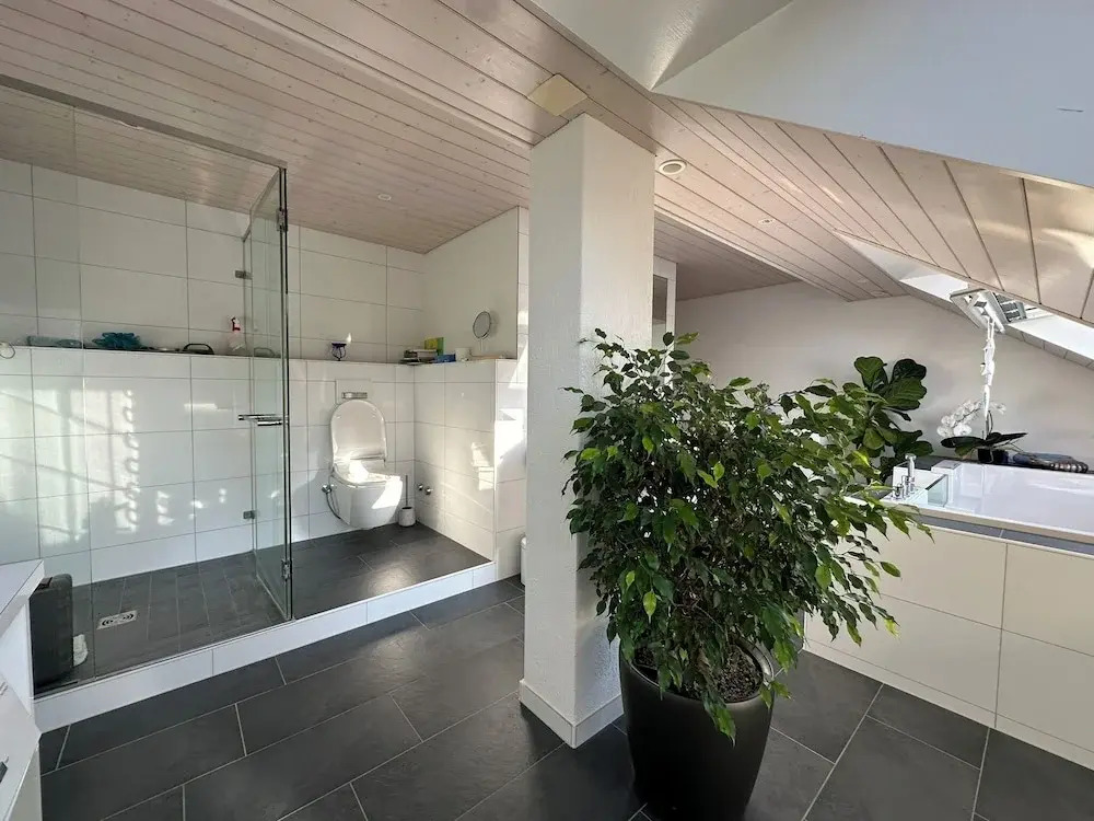 VK - VB - Zürich Airport - Homestay - Villa Bänikon