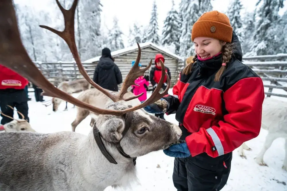 Ruka Safaris - Karhun Maja