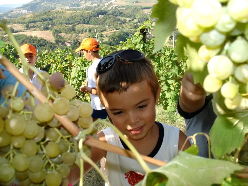 Agriturismo Ca Isotta