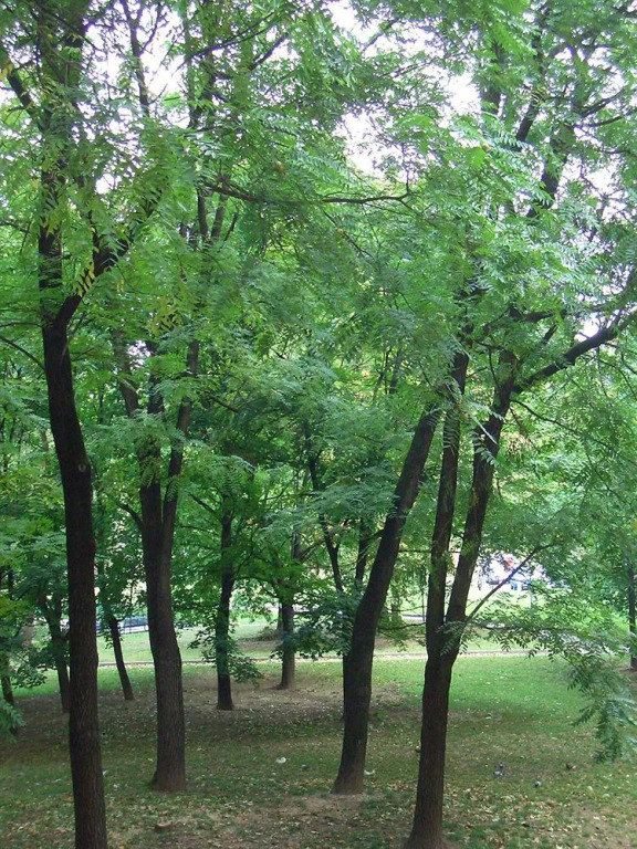 B&B Parco Lambro