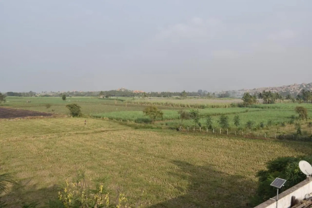 Coconut Homestay Hampi
