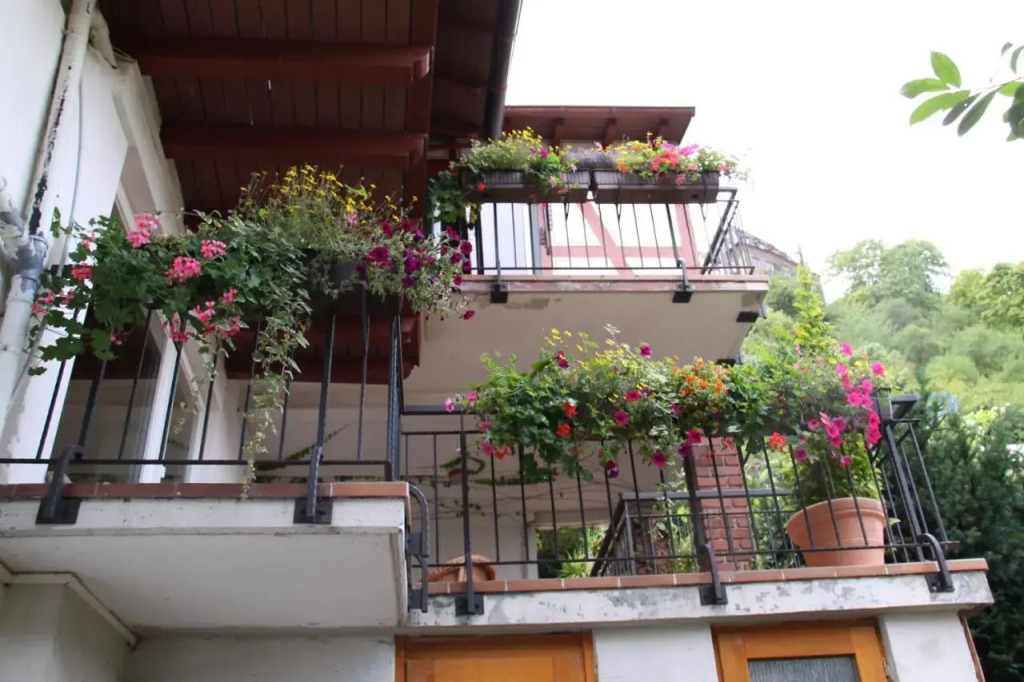 Bacchus Holiday Homes