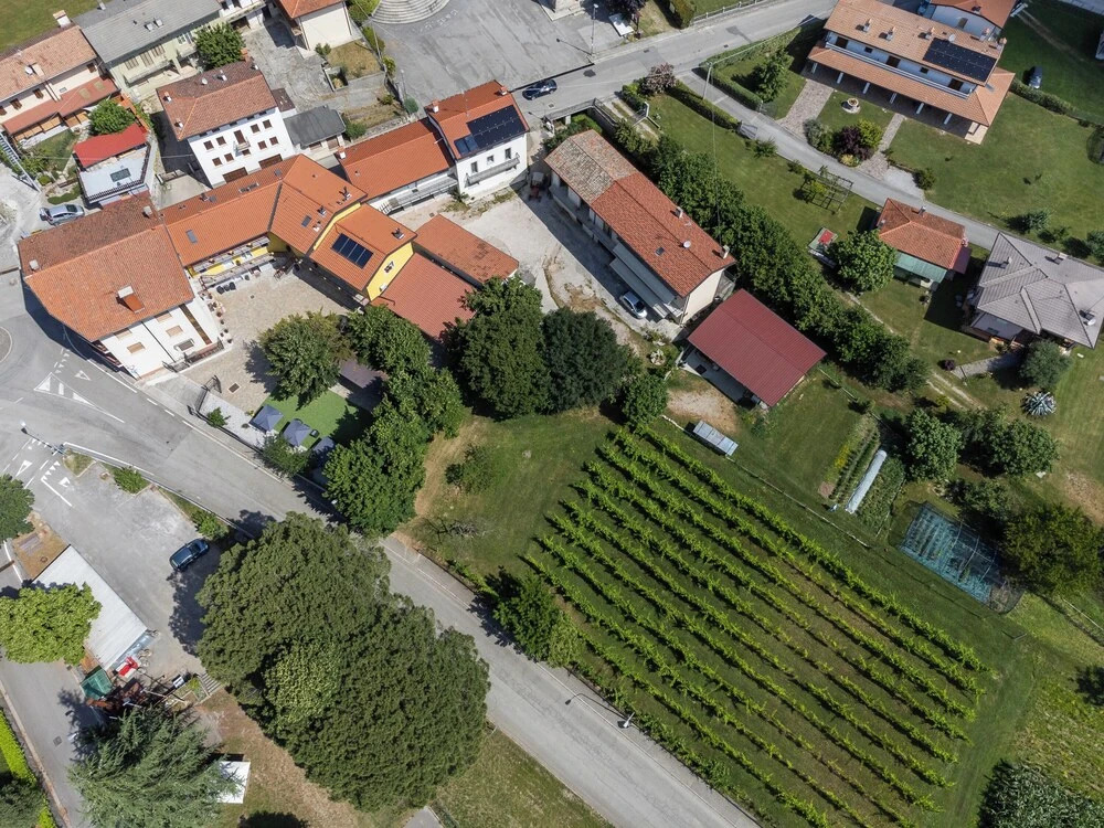 Vigna degli Angeli