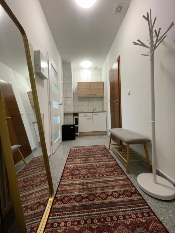 Booklovers apartment close to center