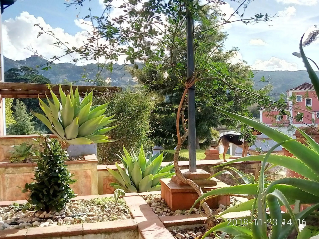 Casa de Santo Amaro